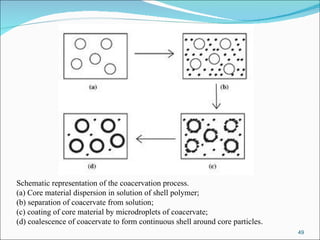 Schematic representation of the coacervation process.  (a) Core material dispersion in solution of shell polymer;  (b) separation of coacervate from solution;  (c) coating of core material by microdroplets of coacervate;  (d) coalescence of coacervate to form continuous shell around core particles . 