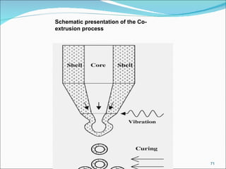 Schematic presentation of the Co-extrusion process 