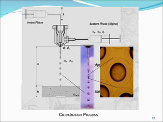 Co-extrusion Process 