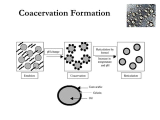 Coacervation Formation
 