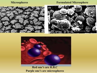 Microspheres Formulated Microsphere
Red one’s are R.B.C
Purple one’s are microspheres
 