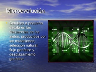 MicroevoluciónMicroevolución
• Cambios a pequeñaCambios a pequeña
escala en lasescala en las
frecuencias de losfrecuencias de los
alelos, producidos poralelos, producidos por
las mutaciones,las mutaciones,
selección natural,selección natural,
flujo genético yflujo genético y
desplazamientodesplazamiento
genético.genético.
 