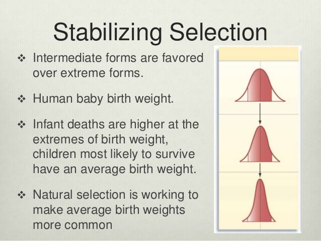 What Does Natural Selection Favor Most What Does Natural Selection Favor Most