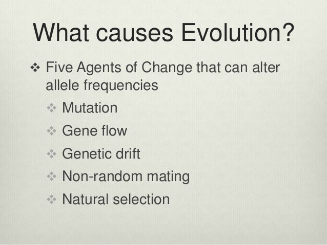 Microevolution