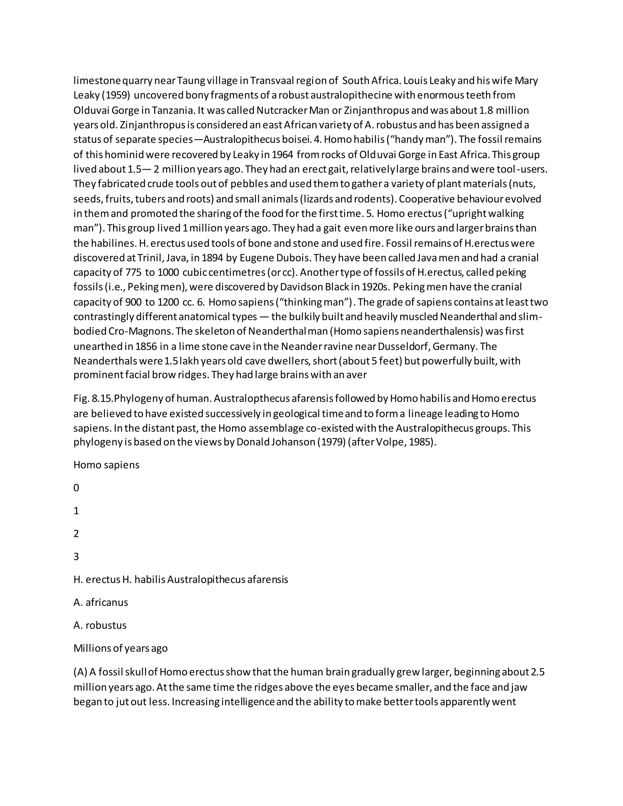 limestonequarrynearTaungvillage inTransvaal regionof SouthAfrica.LouisLeakyandhiswife Mary
Leaky(1959) uncoveredbonyfragmentsof arobustaustralopithecine withenormousteethfrom
Olduvai Gorge inTanzania.It wascalledNutcrackerMan or Zinjanthropusandwasabout1.8 million
yearsold.ZinjanthropusisconsideredaneastAfricanvarietyof A.robustusandhasbeenassigneda
statusof separate species—Australopithecusboisei.4.Homohabilis(“handyman”).The fossil remains
of thishominidwere recoveredbyLeakyin1964 fromrocks of Olduvai Gorge inEast Africa.Thisgroup
livedabout1.5— 2 millionyearsago.Theyhadan erectgait,relativelylarge brainsandwere tool-users.
Theyfabricatedcrude toolsoutof pebblesandusedthemtogathera varietyof plantmaterials(nuts,
seeds,fruits,tubersandroots) andsmall animals(lizardsandrodents).Cooperative behaviourevolved
inthemand promotedthe sharingof the foodfor the firsttime.5. Homo erectus(“uprightwalking
man”).Thisgroup lived1millionyearsago.Theyhada gait evenmore like oursandlargerbrainsthan
the habilines.H.erectususedtoolsof bone andstone andusedfire.Fossil remainsof H.erectuswere
discoveredatTrinil,Java,in1894 by Eugene Dubois.Theyhave beencalledJavamenandhad a cranial
capacityof 775 to 1000 cubiccentimetres(orcc).Anothertype of fossilsof H.erectus,calledpeking
fossils(i.e.,Pekingmen),were discoveredbyDavidsonBlackin1920s. Pekingmenhave the cranial
capacityof 900 to 1200 cc. 6. Homosapiens(“thinkingman”).The grade of sapienscontainsatleasttwo
contrastinglydifferentanatomical types — the bulkilybuiltandheavilymuscledNeanderthal andslim-
bodiedCro-Magnons.The skeletonof Neanderthalman(Homosapiensneanderthalensis) wasfirst
unearthedin1856 in a lime stone cave inthe Neanderravine nearDusseldorf,Germany.The
Neanderthalswere1.5lakhyearsold cave dwellers,short(about5 feet) butpowerfullybuilt,with
prominentfacial browridges.Theyhadlarge brainswithanaver
Fig.8.15.Phylogenyof human.AustralopthecusafarensisfollowedbyHomohabilisandHomoerectus
are believedtohave existedsuccessivelyingeological timeandtoforma lineage leadingtoHomo
sapiens.Inthe distantpast,the Homo assemblage co-existedwiththe Australopithecusgroups.This
phylogenyisbasedonthe viewsbyDonaldJohanson(1979) (afterVolpe,1985).
Homo sapiens
0
1
2
3
H. erectusH. habilisAustralopithecusafarensis
A. africanus
A. robustus
Millionsof yearsago
(A) A fossil skullof Homoerectusshowthatthe human braingraduallygrew larger,beginningabout2.5
millionyearsago.Atthe same time the ridgesabove the eyesbecame smaller,andthe face andjaw
beganto jutout less.Increasingintelligenceandthe abilitytomake bettertoolsapparentlywent
 
