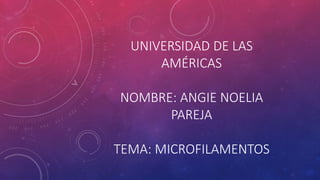 UNIVERSIDAD DE LAS
AMÉRICAS
NOMBRE: ANGIE NOELIA
PAREJA
TEMA: MICROFILAMENTOS
 