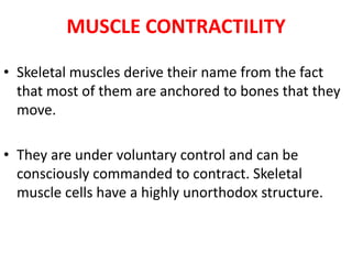 MUSCLE CONTRACTILITY

• Skeletal muscles derive their name from the fact
  that most of them are anchored to bones that they
  move.

• They are under voluntary control and can be
  consciously commanded to contract. Skeletal
  muscle cells have a highly unorthodox structure.
 