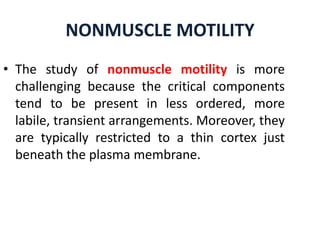 NONMUSCLE MOTILITY
• The study of nonmuscle motility is more
  challenging because the critical components
  tend to be present in less ordered, more
  labile, transient arrangements. Moreover, they
  are typically restricted to a thin cortex just
  beneath the plasma membrane.
 