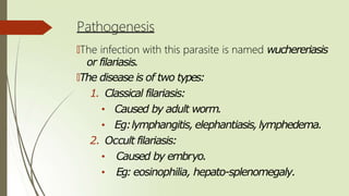 Pathogenesis
🠶The infection with this parasite is named wuchereriasis
or filariasis.
🠶The disease is of two types:
1. Classical filariasis:
• Caused by adult worm.
• Eg:lymphangitis, elephantiasis,lymphedema.
2. Occult filariasis:
• Caused by embryo.
• Eg: eosinophilia, hepato-splenomegaly.