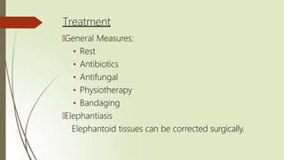 Treatment
🠶General Measures:
• Rest
• Antibiotics
• Antifungal
• Physiotherapy
• Bandaging
🠶Elephantiasis
Elephantoid tissues can be corrected surgically.
