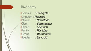 Taxonomy
🠶Domain : Eukaryota
🠶Kingdom : Metazoa
🠶Phylum
🠶Class
🠶Order
🠶Family
🠶Genus
🠶Species
: Nematoda
: Secernentea
: Spirurida
: Filariidae
: Wuchereria
: Bancrofti