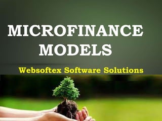 MICROFINANCE
MODELS
Websoftex Software Solutions
 