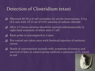 Detection of Clostridium tetani
 Obtained 20-30 g of soil multiplies by sterile instruments, 3-5 g
of it mix with 10-15 ml of 0,9% solution of sodium chloride
 After 3-4 hours solution should be injected subcutaneously in
right hind extremity of white mice (1 ml)
 Each probe is investigated in 2 mice
 For control are taken mice with forehead injection of antitoxic
serum
 Death of experimental animals with symptoms of tetanus and
survival of mice in control group confirms a presence of Cl. tetani
in soil
 