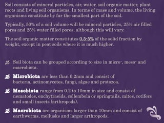 Soil consists of mineral particles, air, water, soil organic matter, plant
roots and living soil organisms. In terms of mass and volume, the living
organisms constitute by far the smallest part of the soil.
Typically, 50% of a soil volume will be mineral particles, 25% air filled
pores and 25% water filled pores, although this will vary.
The soil organic matter constitutes 0.5-5% of the solid fraction by
weight, except in peat soils where it is much higher.
 Soil biota can be grouped according to size in micro-, meso- and
macrobiota.
are less than 0.2mm and consist of
bacteria, actinomycetes, fungi, algae and protozoa.
range from 0.2 to 10mm in size and consist of
nematodes, enchytraeids, collembola or springtails, mites, rotifers
and small insects (arthropods).
are organisms larger than 10mm and consist of
earthworms, mollusks and larger arthropods.
 