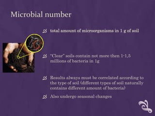 Microbial number
 total amount of microorganisms in 1 g of soil
 “Clear” soils contain not more then 1-1,5
millions of bacteria in 1g
 Results always must be correlated according to
the type of soil (different types of soil naturally
contains different amount of bacteria)
 Also undergo seasonal changes
 