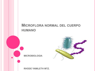 MICROFLORA NORMAL DEL CUERPO
HUMANO

MICROBIOLOGIA

RHODE YAMILETH MTZ.

 