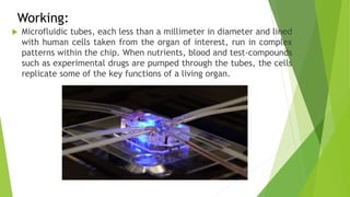 Working:
 Microfluidic tubes, each less than a millimeter in diameter and lined
with human cells taken from the organ of interest, run in complex
patterns within the chip. When nutrients, blood and test-compounds
such as experimental drugs are pumped through the tubes, the cells
replicate some of the key functions of a living organ.
 