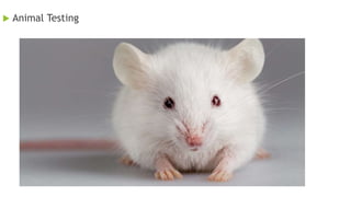  Animal Testing
 