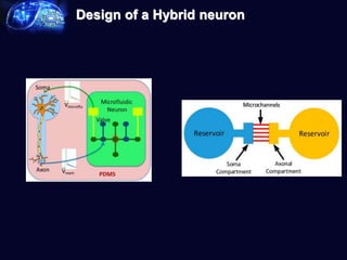 Microfluidics ppt.pptx