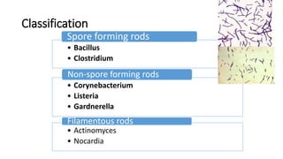 MICRO FOR nurses introduction to microbiology | PPTX