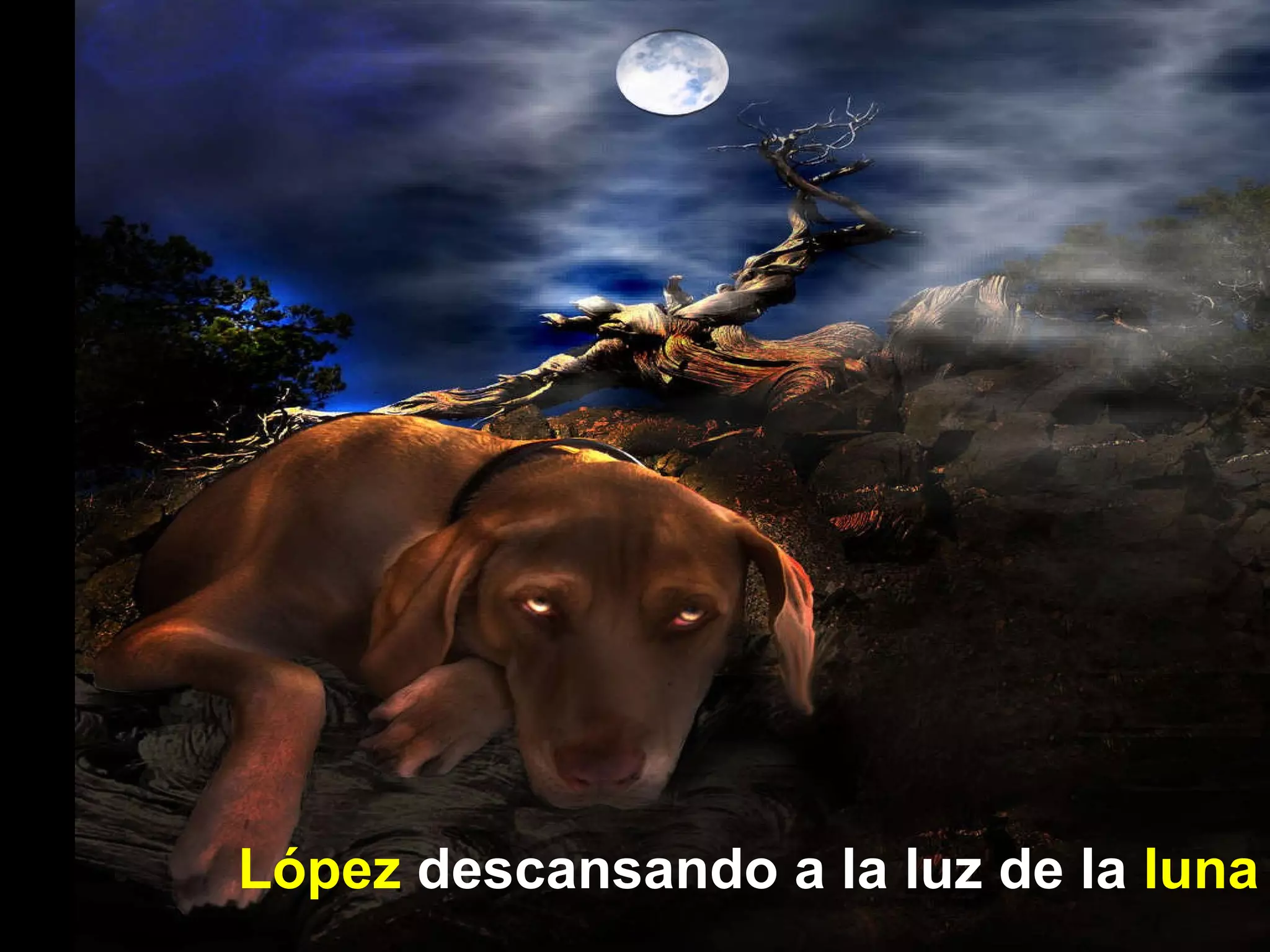 López  descansando a la luz de la  luna 