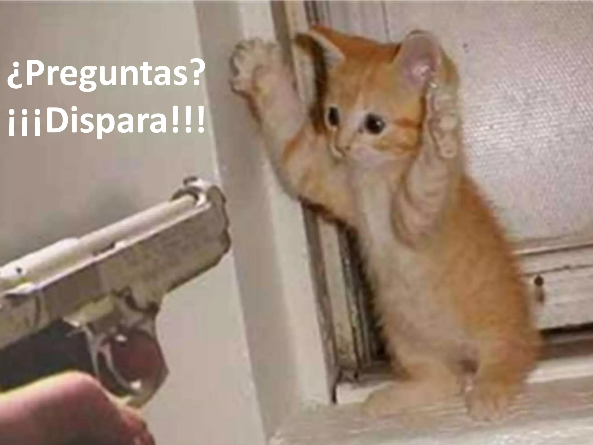 ¿Preguntas?
¡¡¡Dispara!!!
 