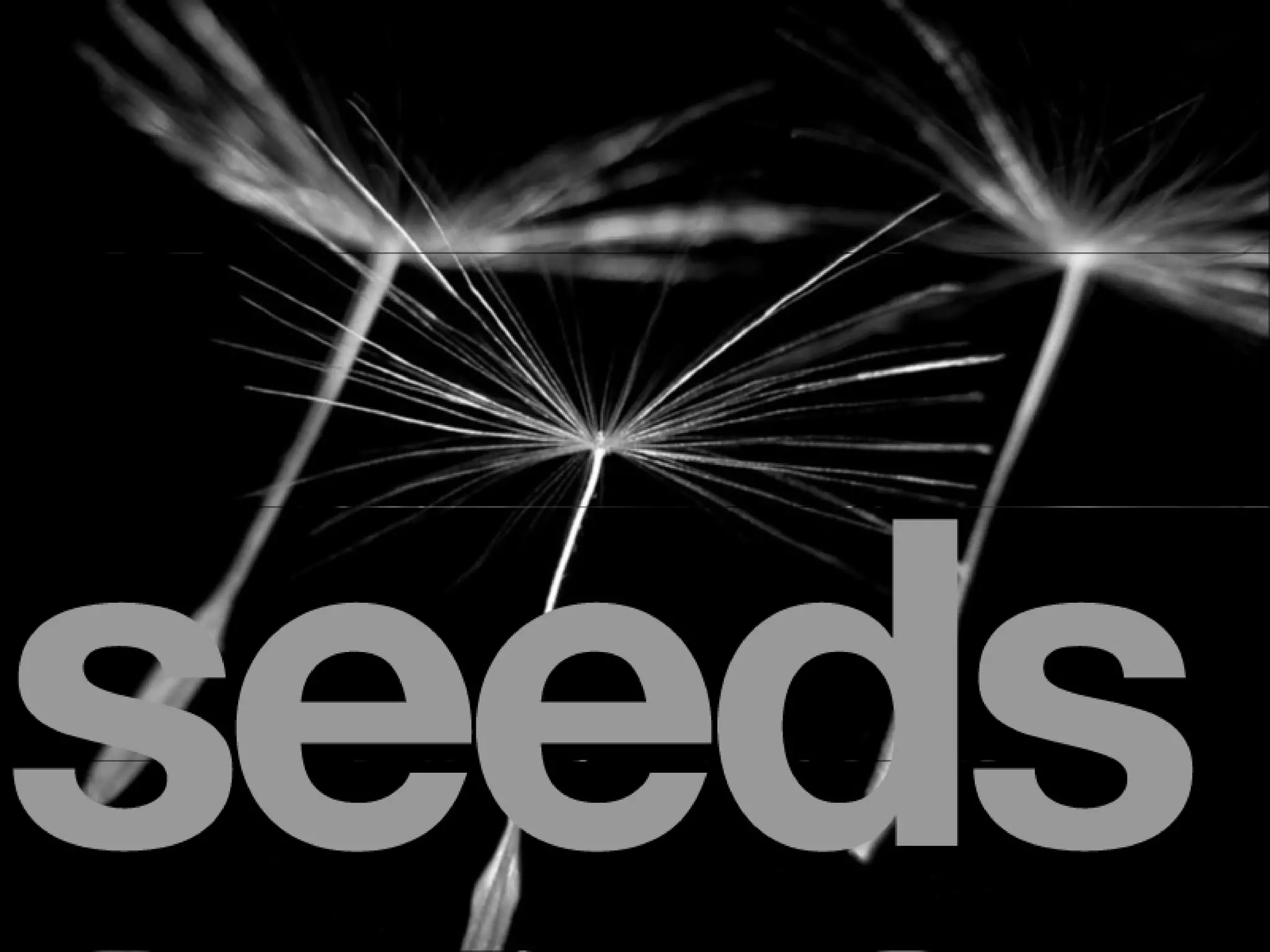 Microformats: the Nanotechnology of the Semantic Web