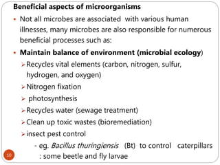 10
Beneficial aspects of microorganisms
 Not all microbes are associated with various human
illnesses, many microbes are also responsible for numerous
beneficial processes such as:
 Maintain balance of environment (microbial ecology)
Recycles vital elements (carbon, nitrogen, sulfur,
hydrogen, and oxygen)
Nitrogen fixation
 photosynthesis
Recycles water (sewage treatment)
Clean up toxic wastes (bioremediation)
insect pest control
- eg. Bacillus thuringiensis (Bt) to control caterpillars
: some beetle and fly larvae
 