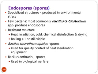 Endospores (spores)
100
 Specialized structures - produced in environmental
stress
 Few bacteria: most commonly Bacillus & Clostridium
spp. produce endospores
 Resistant structure
 Heat, irradiation, cold, chemical disinfection & drying
 Boiling >1 hr still viable
 Bacillus stearothermophilus -spores
 Used for quality control of heat sterilization
equipment
 Bacillus anthracis - spores
 Used in biological warfare
 