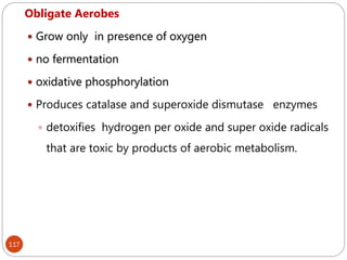 117
Obligate Aerobes
 Grow only in presence of oxygen
 no fermentation
 oxidative phosphorylation
 Produces catalase and superoxide dismutase enzymes
 detoxifies hydrogen per oxide and super oxide radicals
that are toxic by products of aerobic metabolism.
 