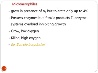 119
Microaerophiles
• grow in presence of o2 but tolerate only up to 4%
• Possess enzymes but if toxic products , enzyme
systems overload inhibiting growth
• Grow, low oxygen
• Killed, high oxygen
• Eg Borrelia burgdorferi,
 