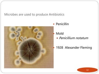 Microbes are used to produce Antibiotics
 Penicillin
 Mold
 Penicillium notatum
 1928 Alexander Fleming
12
 