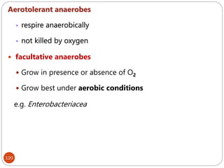 120
Aerotolerant anaerobes
• respire anaerobically
• not killed by oxygen
 facultative anaerobes
 Grow in presence or absence of O2
 Grow best under aerobic conditions
e.g. Enterobacteriacea
 