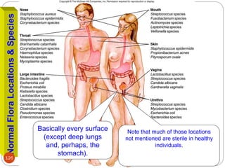 Normal
Flora
Locations
&
Species
126
Note that much of those locations
not mentioned are sterile in healthy
individuals.
Basically every surface
(except deep lungs
and, perhaps, the
stomach).
 