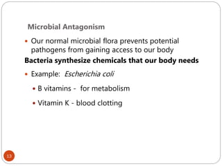 Microbial Antagonism
13
 Our normal microbial flora prevents potential
pathogens from gaining access to our body
Bacteria synthesize chemicals that our body needs
 Example: Escherichia coli
 B vitamins - for metabolism
 Vitamin K - blood clotting
 