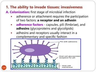 135
1. The ability to invade tissues: invasiveness
A. Colonization: first stage of microbial infection
 adherence or attachment requires the participation
of two factors: a receptor and an adhesin
 adherence factors - capsules, pili (fimbriae), and
adhesins (glycoproteins and glycolipids)
 adhesins and receptors usually interact in a
complementary and specific fashion
 