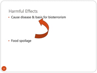 Harmful Effects
15
 Cause disease & basis for bioterrorism
 Food spoilage
 