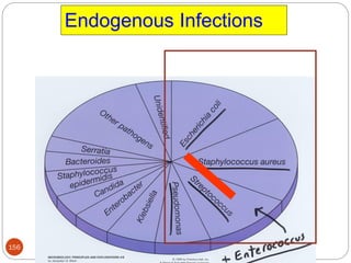 Endogenous Infections
156
 