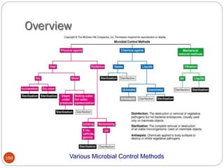 168
Overview
168 Various Microbial Control Methods
 