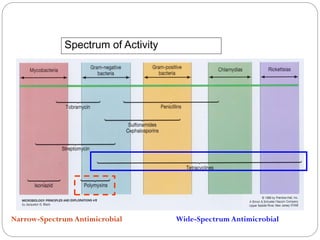Spectrum of Activity
216
Narrow-Spectrum Antimicrobial Wide-Spectrum Antimicrobial
 
