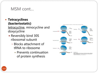 MSM cont…
233
 Tetracyclines
(bacteriostatic)
tetracycline, minocycline and
doxycycline
 Reversibly bind 30S
ribosomal subunit
 Blocks attachment of
tRNA to ribosome
 Prevents continuation
of protein synthesis
 