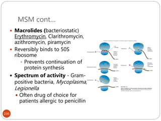 MSM cont…
235
 Macrolides (bacteriostatic)
Erythromycin, Clarithromycin,
azithromycin, piramycin
 Reversibly binds to 50S
ribosome
 Prevents continuation of
protein synthesis
 Spectrum of activity - Gram-
positive bacteria, Mycoplasma,
Legionella
 Often drug of choice for
patients allergic to penicillin
 