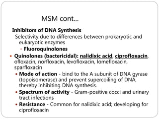 Inhibitors of DNA Synthesis
239
Selectivity due to differences between prokaryotic and
eukaryotic enzymes
 Fluoroquinolones
 Quinolones (bactericidal): nalidixic acid, ciprofloxacin,
ofloxacin, norfloxacin, levofloxacin, lomefloxacin,
sparfloxacin
 Mode of action - bind to the A subunit of DNA gyrase
(topoisomerase) and prevent supercoiling of DNA,
thereby inhibiting DNA synthesis.
 Spectrum of activity - Gram-positive cocci and urinary
tract infections
 Resistance - Common for nalidixic acid; developing for
ciprofloxacin
MSM cont…
 