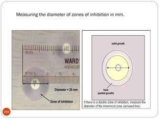 Measuring the diameter of zones of inhibition in mm.
259
 