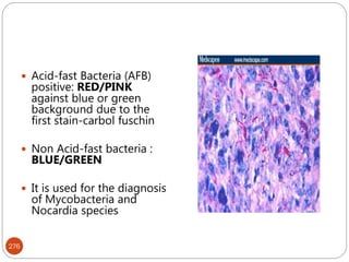 276
 Acid-fast Bacteria (AFB)
positive: RED/PINK
against blue or green
background due to the
first stain-carbol fuschin
 Non Acid-fast bacteria :
BLUE/GREEN
 It is used for the diagnosis
of Mycobacteria and
Nocardia species
 