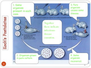 31
31
1. Same
organism
present in each
case.
2. Organism grown
in pure culture.
3. Pure
organism
causes same
disease.
4. Same
organism
recovered.
Together
these indicate
infectious-
disease
causation.
 