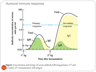 Humoral Immune response
319
Figure Concentration and isotype of serum antibody following primary (1°) and
secondary (2°) immunization with antigen
 