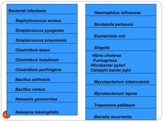 336
Bacterial infections
Staphylococcus aureus
Streptococcus pyogenes
Streptococcus pneumonia
Clostridium tetani
Clostridium botulinum
Clostridium perfringens
Bacillus anthracis
Bacillus cereus
Neisseria gonnorrhea
Neisseria meningitidis
Haemophilus influenzae
Bordetella pertussis
Escherichia coli
Shigella
Vibrio cholerae
P.areugnosa
Hlicobacter pylori
Campylo bacter jujni
Mycobacterium tuberculosis
Mycobacterium leprae
Treponema pallidium
Borrelia recurrentis
 