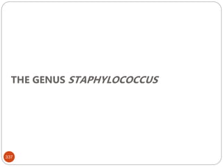 THE GENUS STAPHYLOCOCCUS
337
 