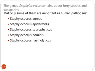 The genus Staphylococcus contains about forty species and
subspecies
338
But only some of them are important as human pathogens:
 Staphylococcus aureus
 Staphylococcus epidermidis
 Staphylococcus saprophyticus
 Staphylococcus hominis
 Staphylococcus haemolyticus
 